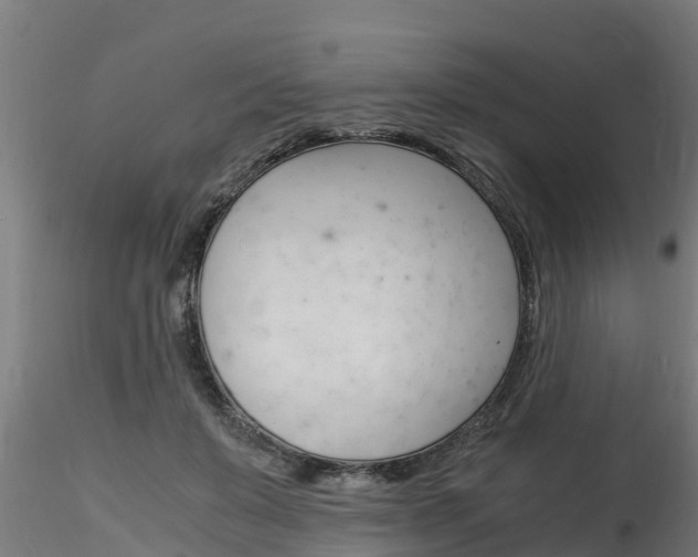 X0000116260503200911300956