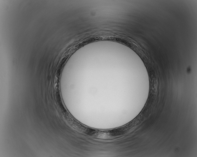 X0000116260507200911300956