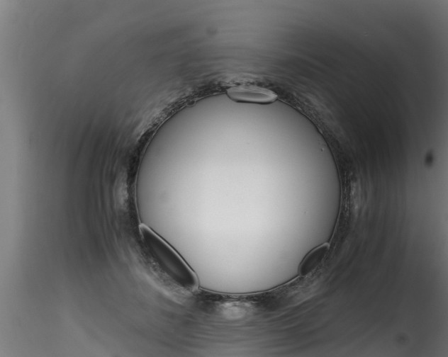 X0000116260508200911300956
