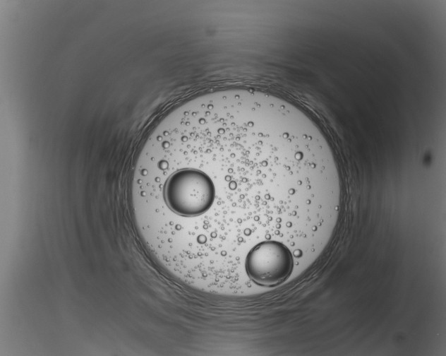 X0000116260509200911300956