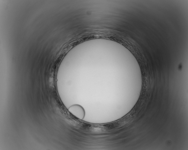X0000116260510200911300956