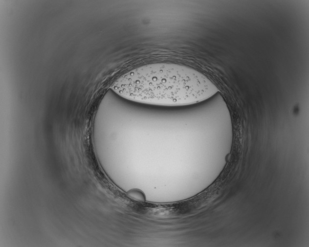 X0000116260511200911300956