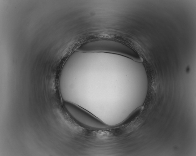 X0000116260512200911300956