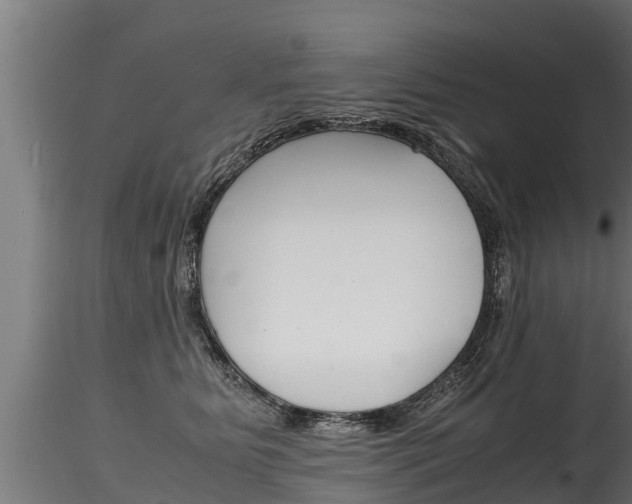 X0000116260515200911300956