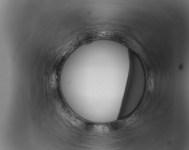 X0000116260520200911300956