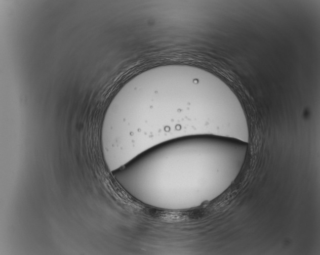 X0000116260521200911300956