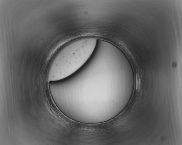 X0000116260531200911300955
