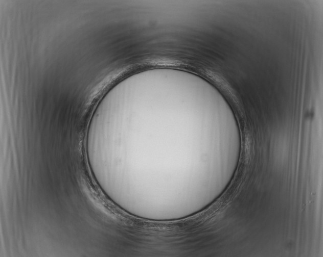 X0000116260533200911300955