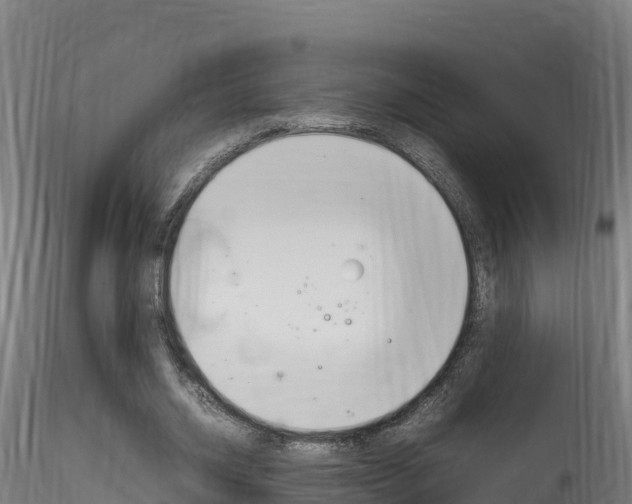 X0000116260534200911300955
