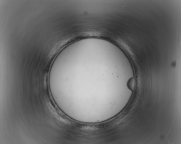 X0000116260537200911300955