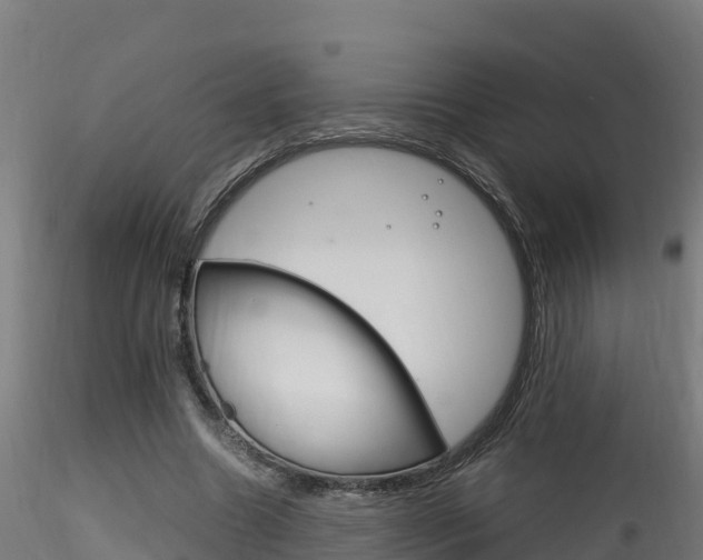 X0000116260538200911300955