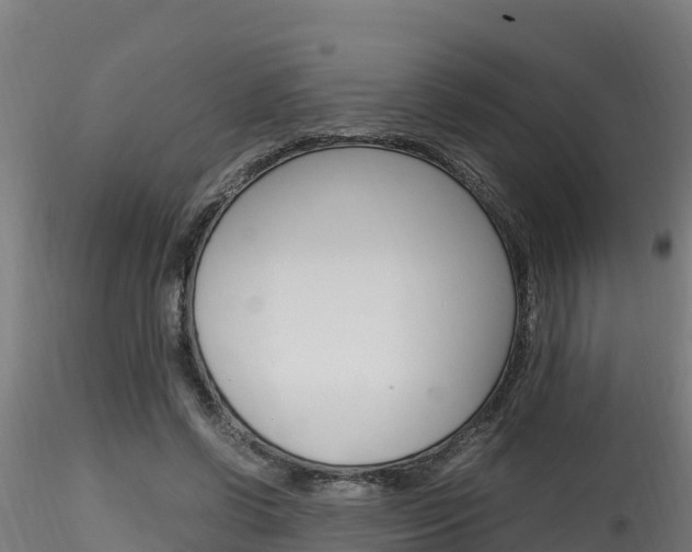 X0000116260542200911300955