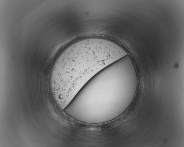 X0000116260543200911300955