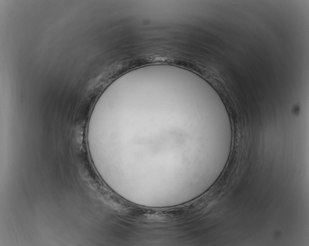 X0000116260545200911300955