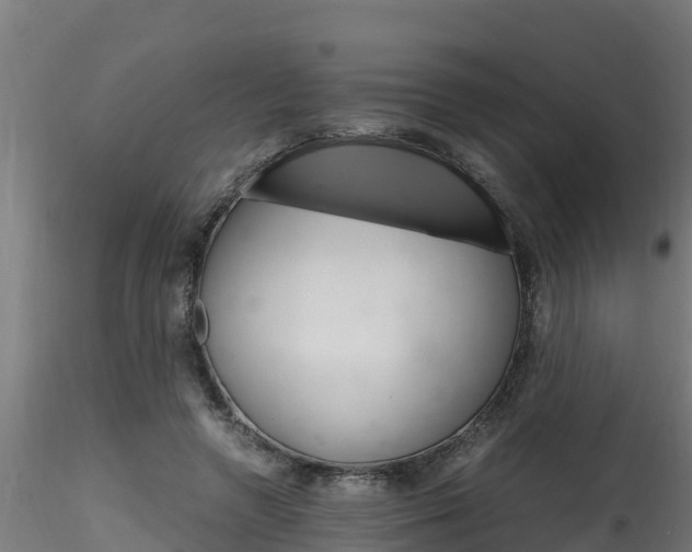 X0000116260546200911300955