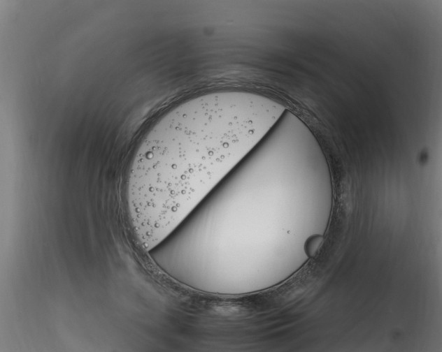 X0000116260547200911300955