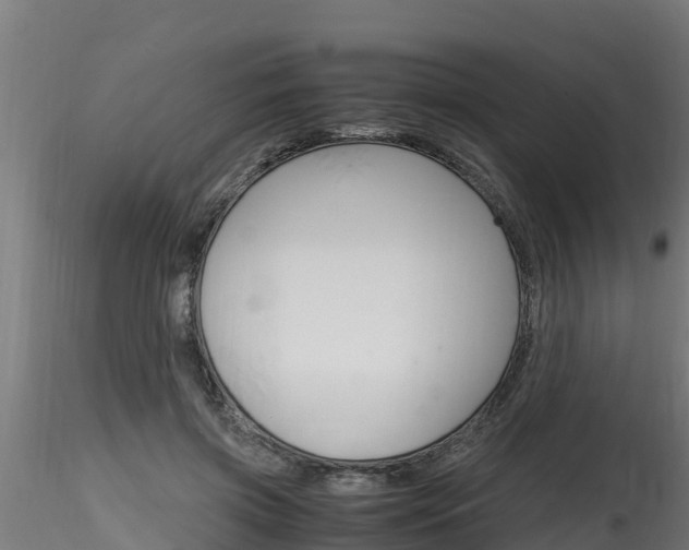 X0000116260549200911300955