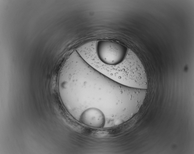 X0000116260554200911300955