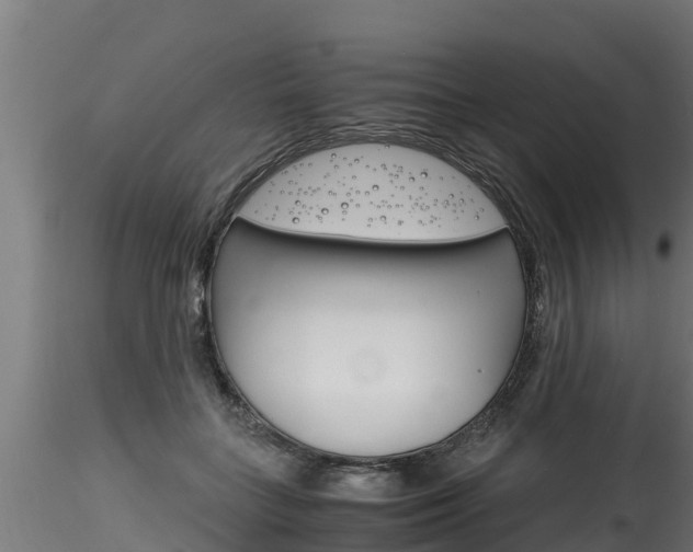 X0000116260555200911300955