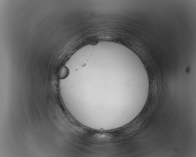 X0000116260557200911300955