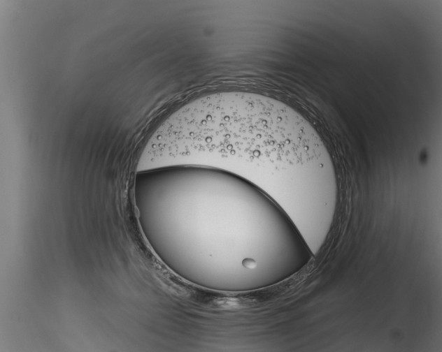 X0000116260558200911300955