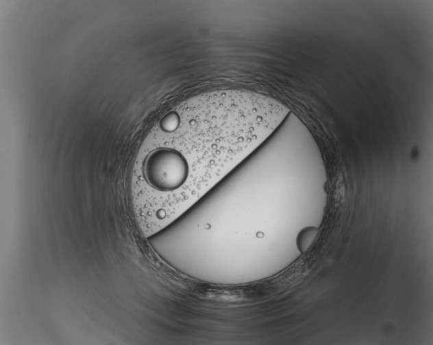 X0000116260559200911300955