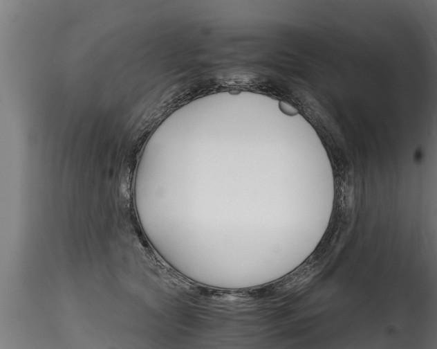 X0000116260561200911300955