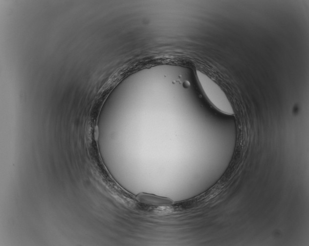 X0000116260562200911300955