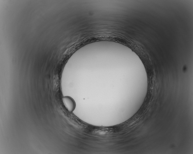 X0000116260563200911300955