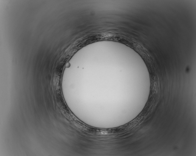 X0000116260565200911300955