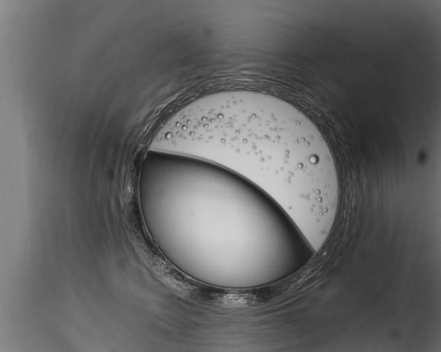 X0000116260566200911300955