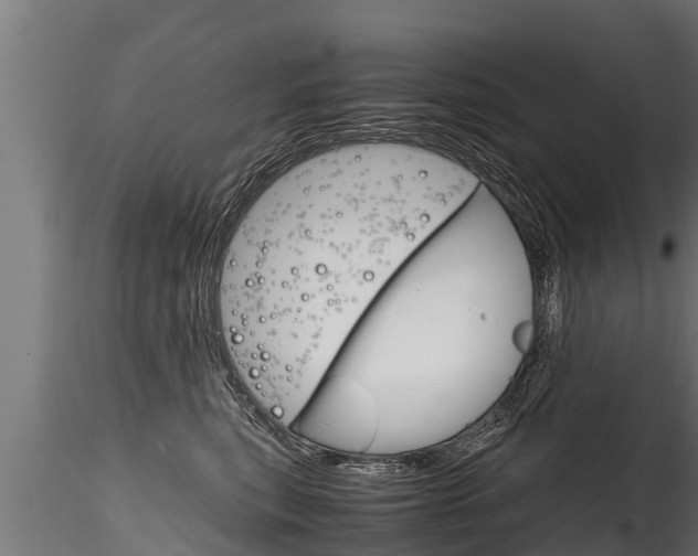 X0000116260567200911300955