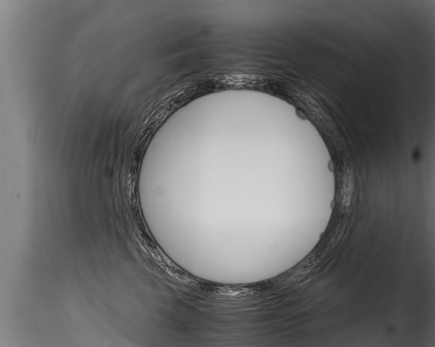 X0000116260569200911300955
