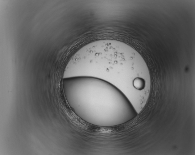 X0000116260570200911300955