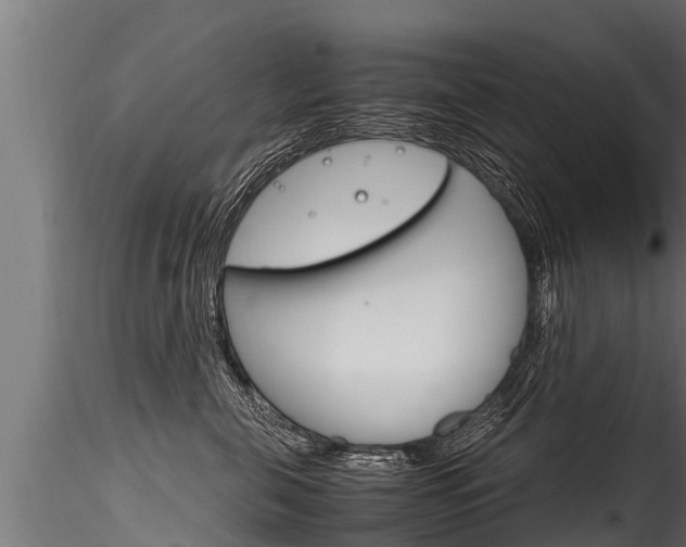 X0000116260571200911300956