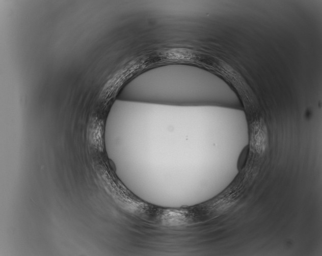 X0000116260573200911300956