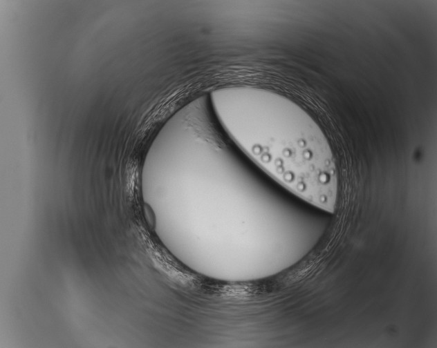 X0000116260574200911300956