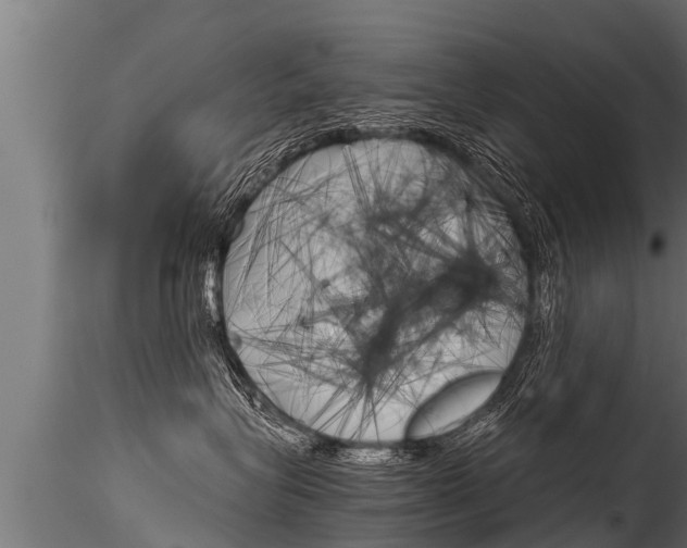 X0000116260575200911300956