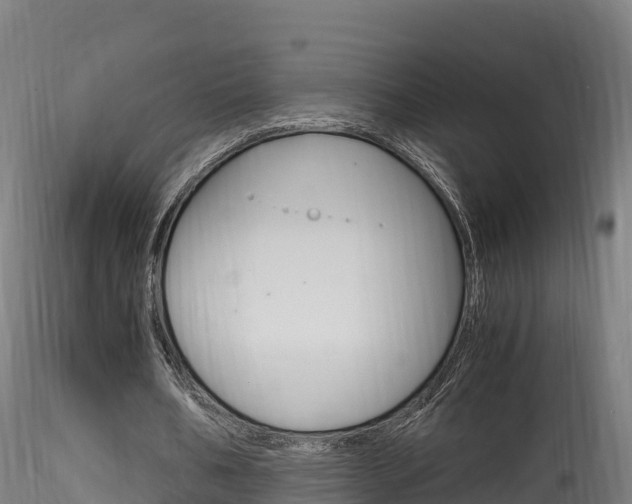 X0000116260578200911300955