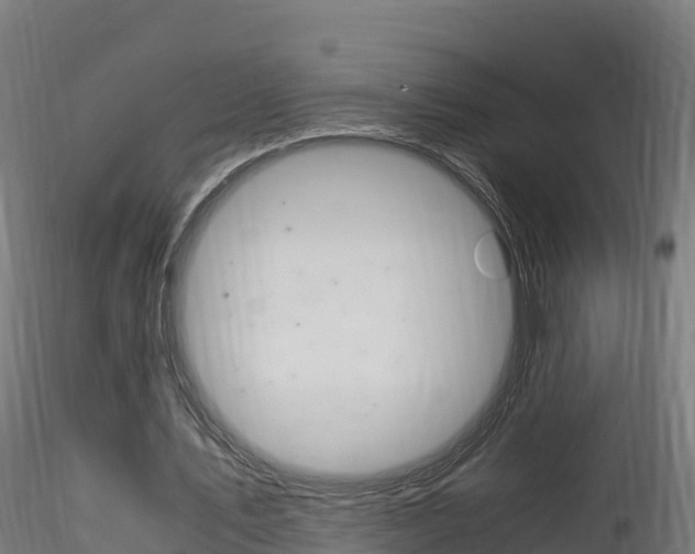 X0000116260579200911300955