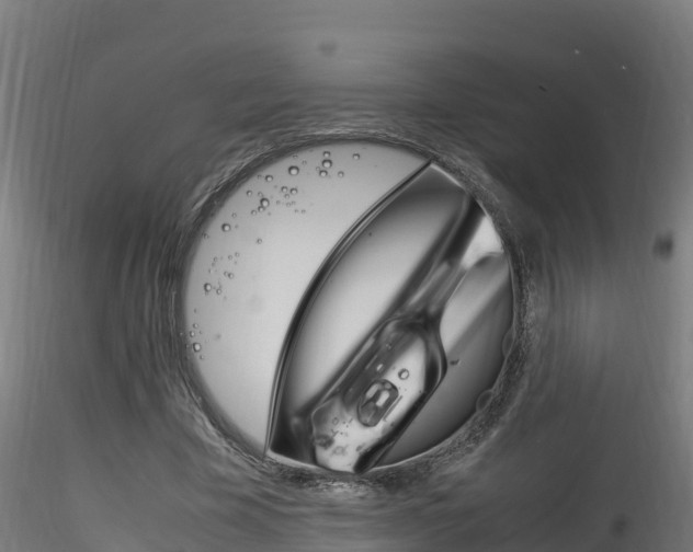X0000116260585200911300955