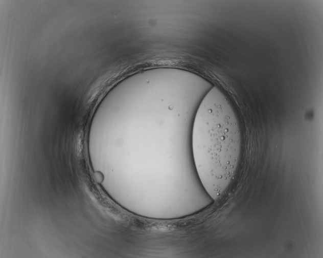 X0000116260586200911300955