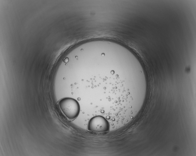 X0000116260587200911300955