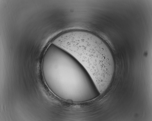 X0000116260588200911300955