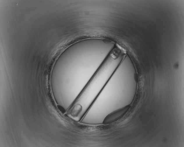 X0000116260589200911300955