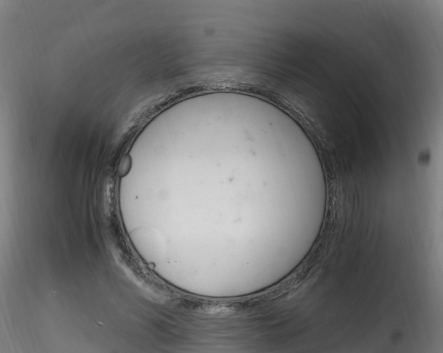 X0000116260590200911300955