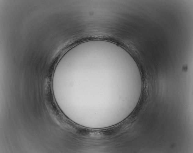 X0000116260591200911300955