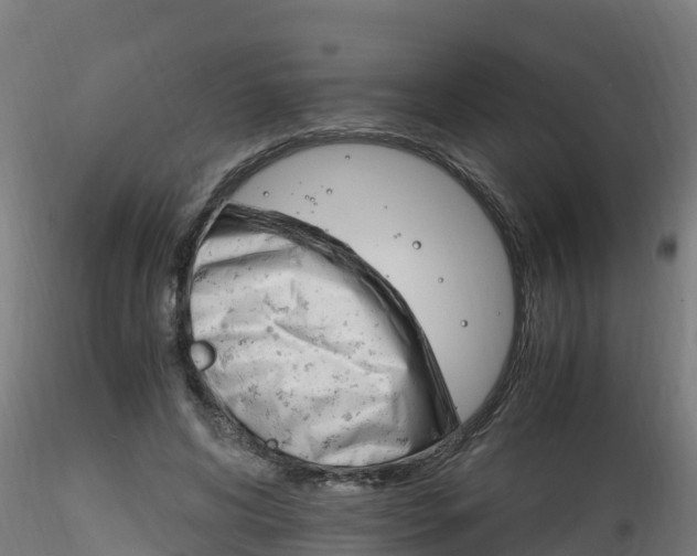 X0000116260592200911300955