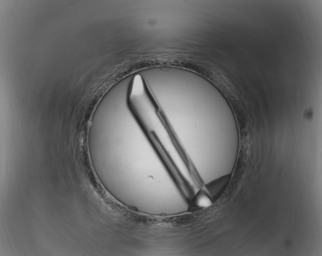 X0000116260593200911300955