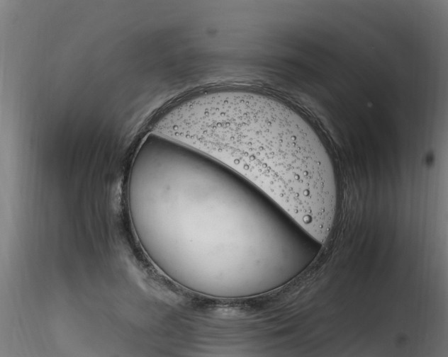 X0000116260596200911300954